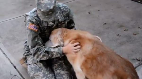video reactia impresionanta a unei cateluse la revederea stapanei