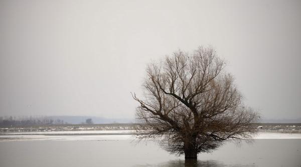 galati restrictii de viteza pentru nave din cauza nivelului crescut al dunarii