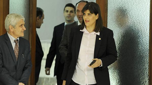 udmr proiect cu dedicatie pentru condamnati