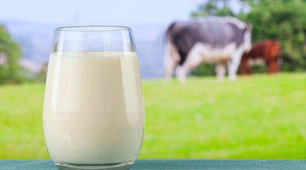 ieftin la producatori scump la raft