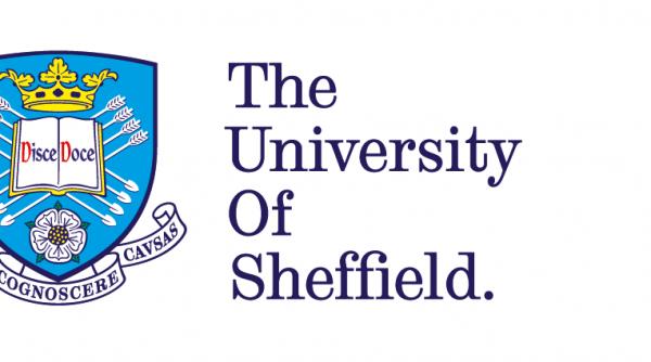 daily income si universitatea sheffield ofera o bursa integrala emba