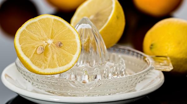 sase alimente care te scapa de greturile sarcinii