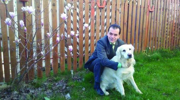 liberalul ludovic orban a raspuns ironiilor de pe facebook cainele si a dat consimtamantul