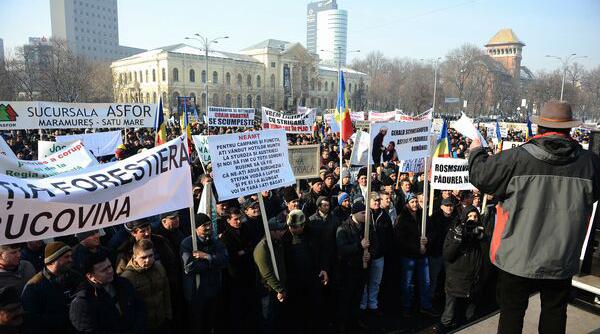 peste 50 de lucratori din sectorul silvic protesteaza in fata sediului guvernului