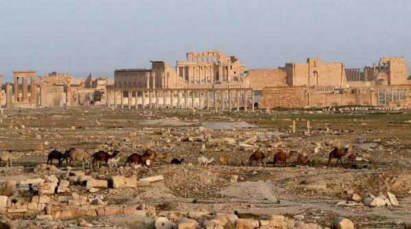 armata siriana a eliberat orasul antic palmira de sub ocupatia statului islamic