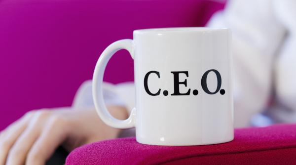 ceo privat la stat un rateu foarte scump platit