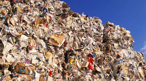 cat gunoi produc romanii