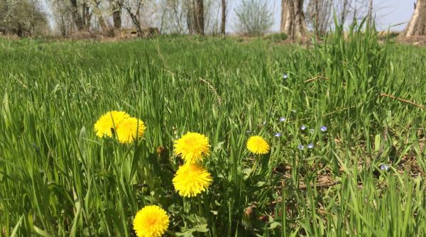 prognoza meteo cum va fi vremea pe 30 31 martie si 1 aprilie