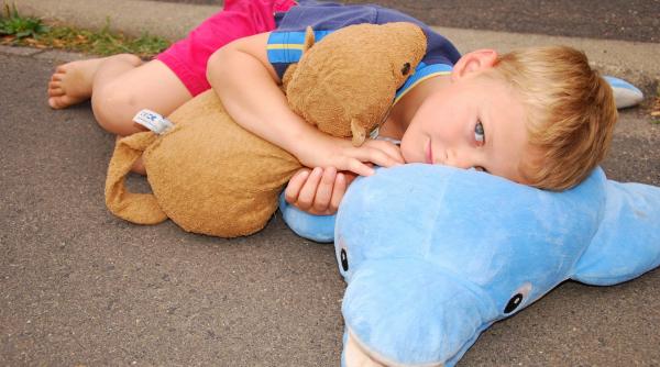 diferenta dintre gradinite si srl uri