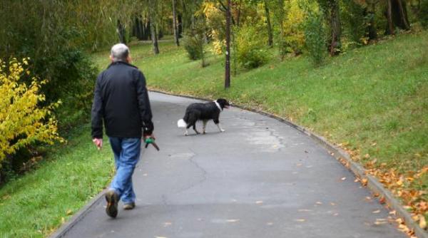 soare si valori termice deosebit de ridicate