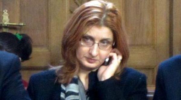 csm nu prea stie constitutia un vicepresedinte csm cere ancheta pentru declaratii in parlament