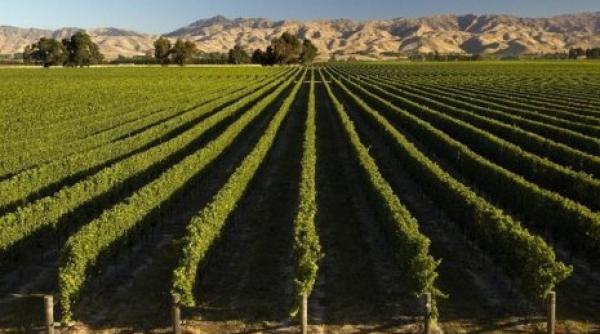 presedintele republicii moldova i a trimis lui klaus iohannis o sticla cu vin din colectia cramei purcari maluri de prut