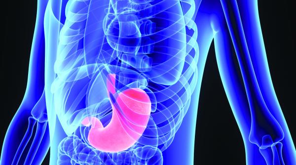 alimentele grase intarzie in stomac si produc exces de acid