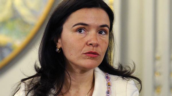 daniela nemoianu fostul presedinte amcham eficienta angajatilor de la stat platita corespunzator