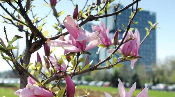 prognoza meteo cum va fi vremea pe 6 7 si 8 aprilie 2016