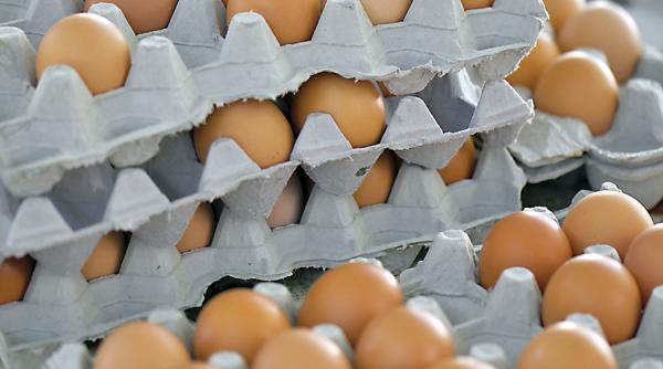 in prag de paste apare scandalul oualor de import