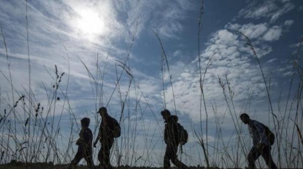 alerta la granita romaniei cu serbia dupa depistarea unui grup de imigranti ilegali