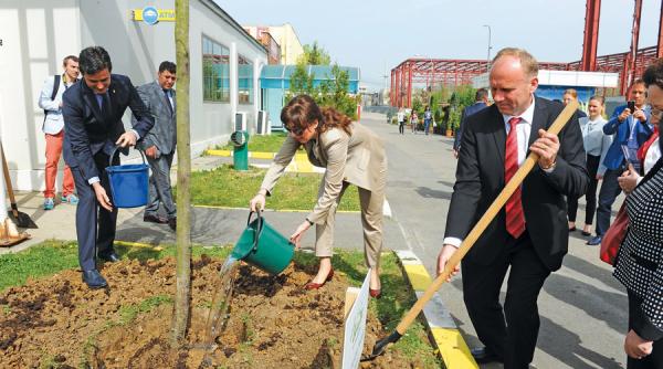 indemn la facut profit din gunoaie