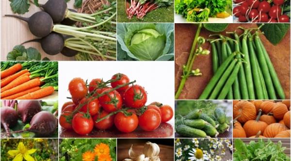 tratamente naturiste 17 plante cu proprietati curative