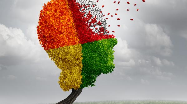 boala alzheimer o incetinesti punand mintea sa lucreze