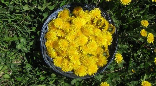 tratamente naturiste papadia si beneficiile ei