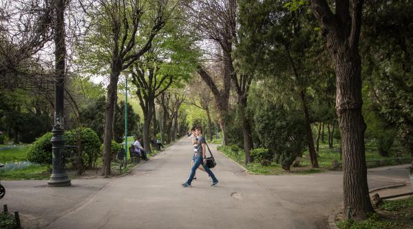 beneficiile mersului pe jos 9 motive pentru a face plimbari in fiecare zi