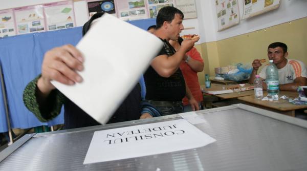 animale inimi cruci faclii si vlad tepes printre siglele preferate de cele 81 de partide care vor participa la locale