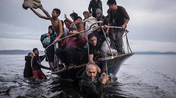 pulitzer pentru relatarea marii migratii