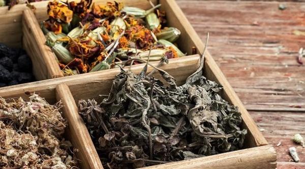 tratamente naturiste 1 ingredient 7 retete si 100 de boli vindecate