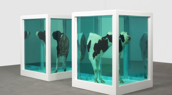 creatiile lui damien hirst emanau un gaze cancerigene in timpul unei expozitii de la londra