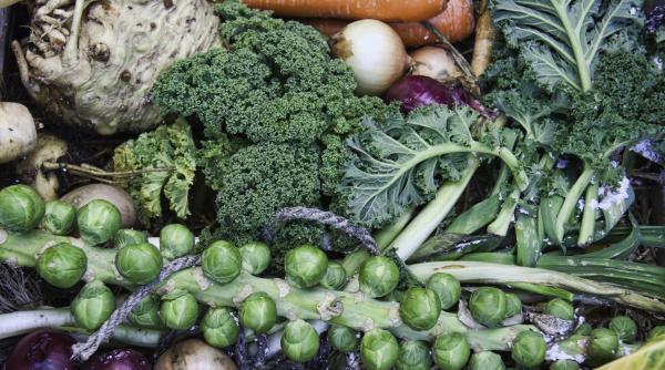 dieta alcalina cea mai eficienta metoda de prevenire a cancerului