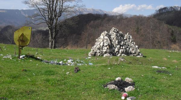 resursele naturale pe cale de disparitie