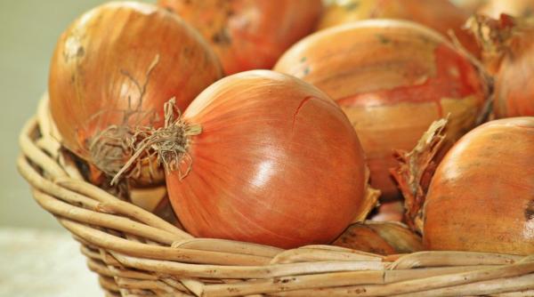 cataplasmele care te scapa de durerile de reumatism cum sa le faci