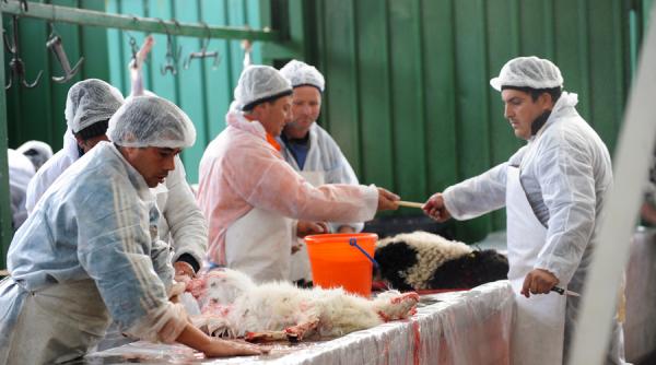 amenzi de 12 000 de lei in pietele si magazinele alimentare din capitala