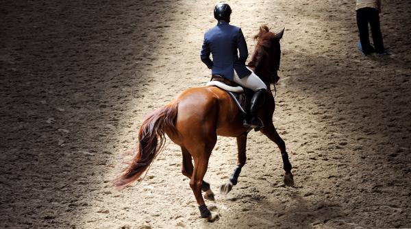 cei mai buni cai din romania s au intrecut la circuitul salonul calului 2016