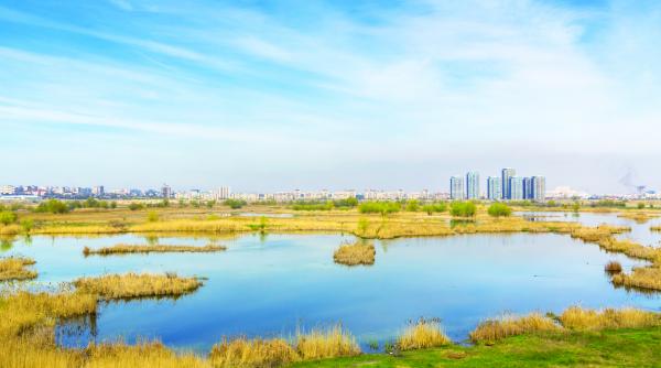 un nou tun imobiliar cum sa transformi 3 200 mp teren in 32 000 mp