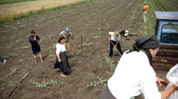 zilierii greu de asigurat in loc de bani tichete
