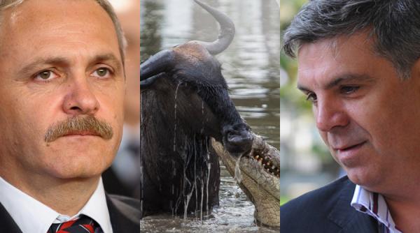 de ce zgonea se uita la documentare cu animale iar dragnea nu