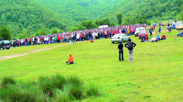 cedo lotul misa 291 mii euro daune morale