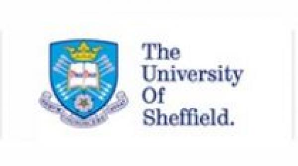 daily income si universitatea sheffield au ales castigatorul bursei executive mba
