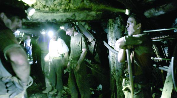 scharfstein group vrea sa investeasca la ce hunedoara