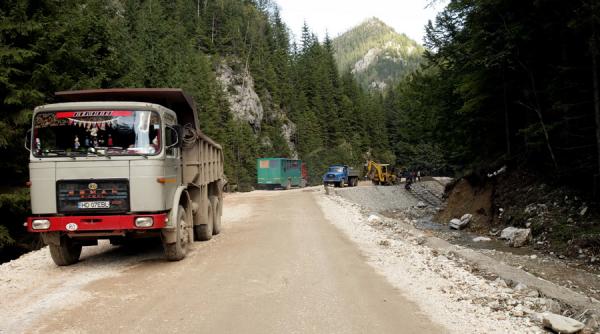 cantitatea de material lemnos confiscat a crescut cu 45 in trimestrul i fata de intervalul similar din 2015