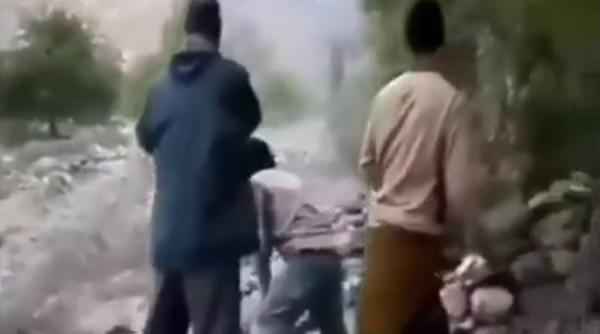 video in mai putin de un minut un rau se transforma intr un cosmar