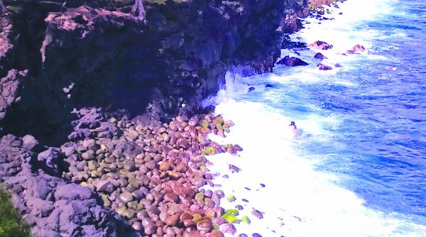 am fost in insula vaniliei bourbon