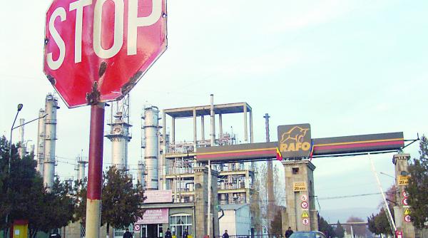 gigantul rafo un faliment aiurea