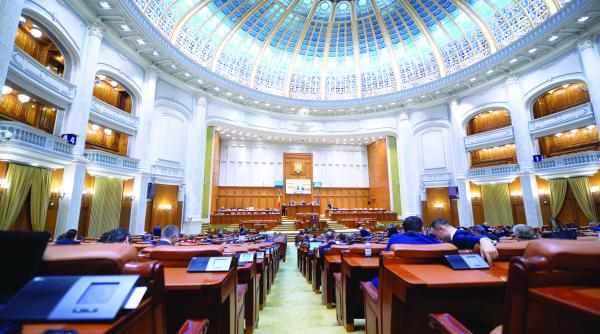 alesii neamului vor sa scape de conflictul de interese