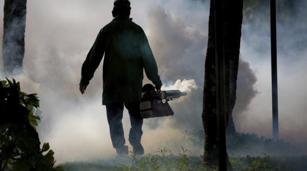 primaria capitalei pandemia de zika e doar subiect de presa