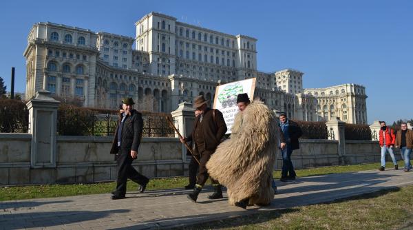 alesii poporului au initiative efectiv traznite