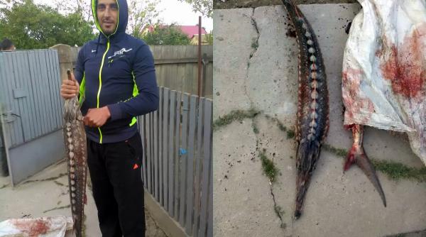 s a laudat pe facebook cu un sturion pescuit din dunare iar acum risca puscaria
