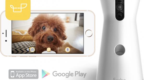 furbo gadget ul care le tine companie cateilor